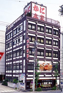 Okazaki branch